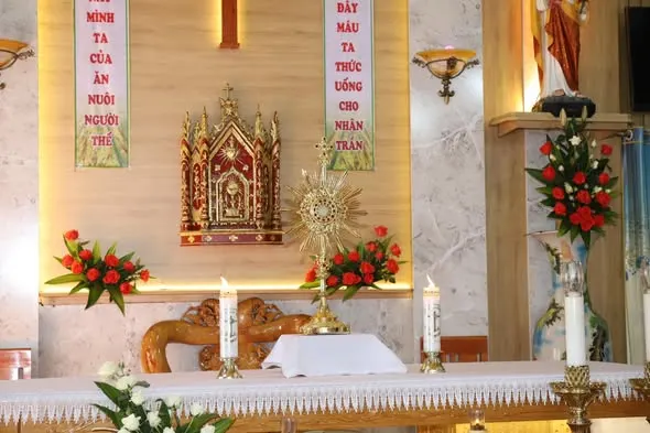 Hình ảnh: Giáo họ Bình Lư chầu Thánh Thể thay mặt Giáo phận