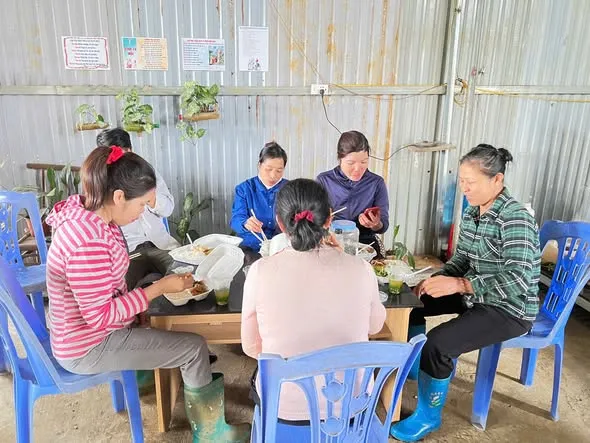 Giáo dân thu hoạch củ dong, chung tay xây dựng giáo xứ – ảnh 4