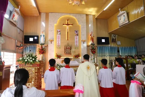 Giáo họ Bình Lư chầu Thánh Thể thay mặt Giáo phận – ảnh 4